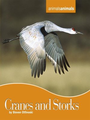 cover image of Cranes and Storks